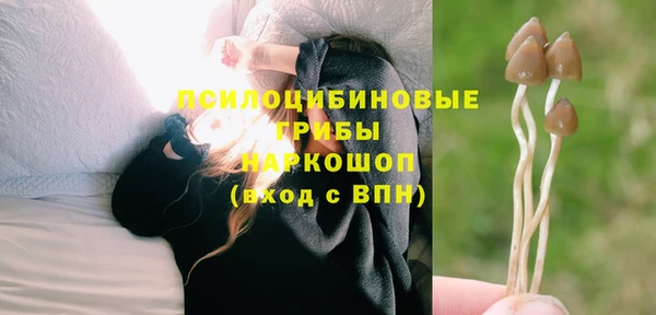 прущие крисы Усмань