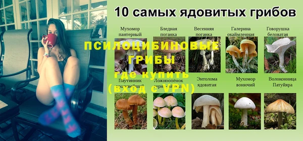 jwh Касимов