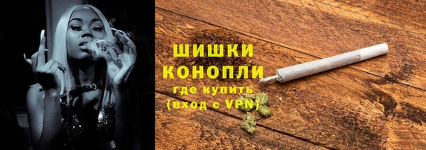 spice Каменногорск