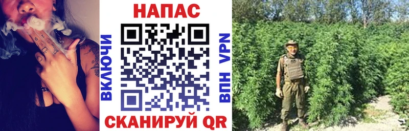 Канабис сатива  Купить закладки  Морозовск 